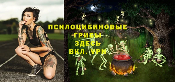 трава Беломорск