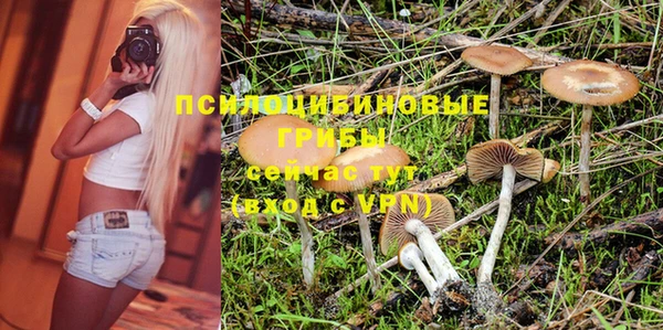 трава Беломорск