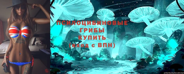 марки lsd Белокуриха